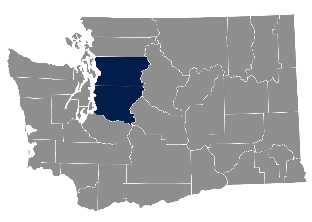 residential painting contractors king county and snohomish county